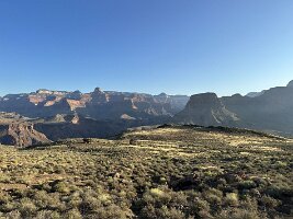 IMG_0345
