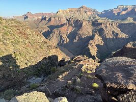 IMG_0349