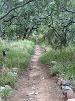 IMG_0396(1)