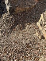 IMG_7415(1)