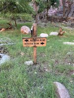 IMG_7437(1)
