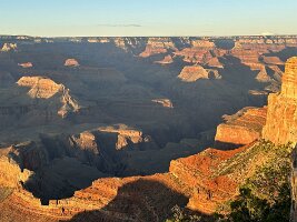 IMG_0644(1)