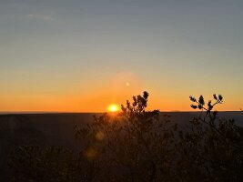 IMG_0682(1)